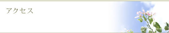 アクセス
